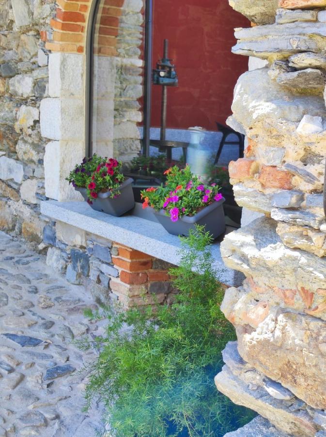 Agriturismo Il Medeghino Musso Bagian luar foto