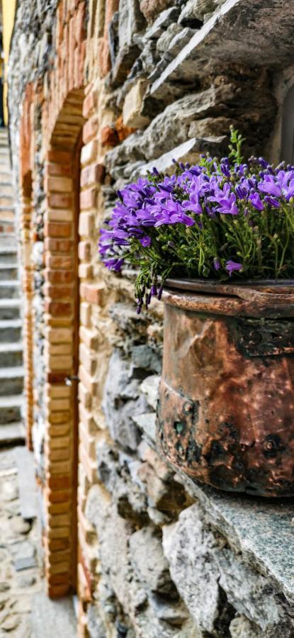 Agriturismo Il Medeghino Musso Bagian luar foto